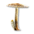 "Parasol Mushroom" icon