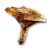 "Saffron Milk Cap" icon