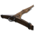 "Arbalest" icon