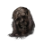 "Grave Keeper's Brainpan" icon