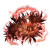 "Red Fulgurbloom" icon