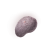 "Fingerprint Nostrum" icon