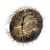 "Iris of Grace" icon