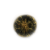 "Shadow Realm Rune [2]" icon