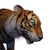 "Tiger" icon