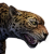 "Jaguar" icon