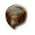 "Shell" icon