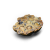 "Envious Tongue" icon