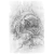 "Wushan Lesser Guai" icon