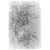 "Daoist Mi" icon