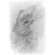 "Baw-Lang-lang" icon