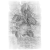 "Son of Stones" icon