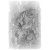 "Tiger Vanguard" icon