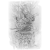 "Erlang, the Sacred Divinity" icon