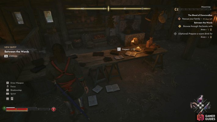 Uncover the secrets of the forbidden books