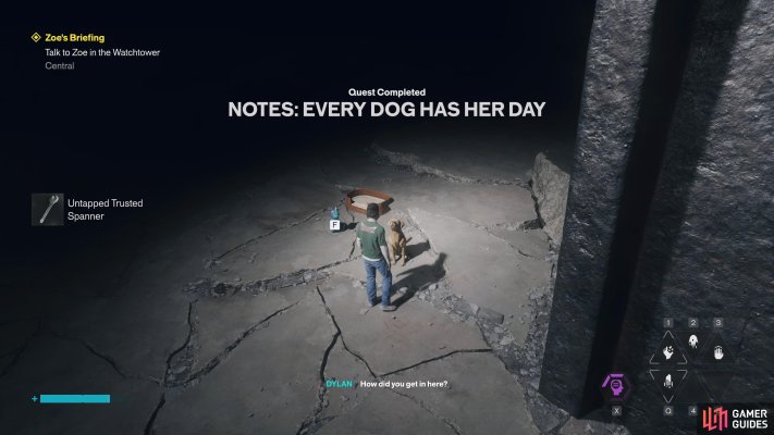 Dog (Every Dog Has Her Day)