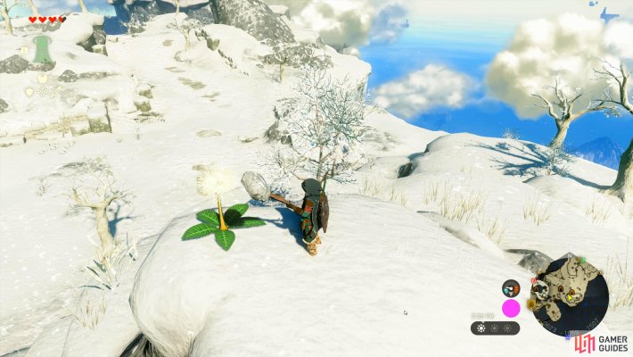 Korok Seed
