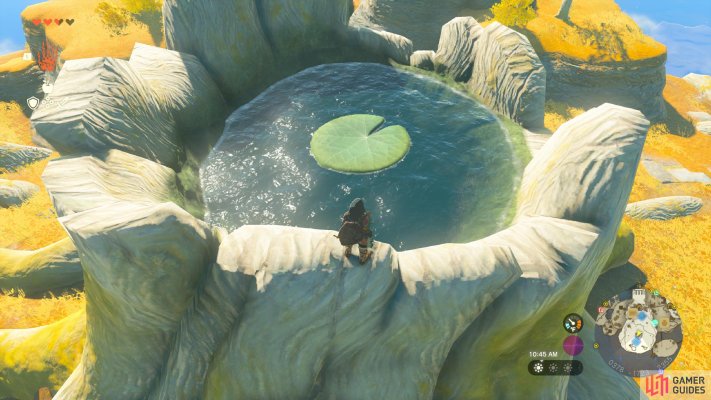 Korok Seed