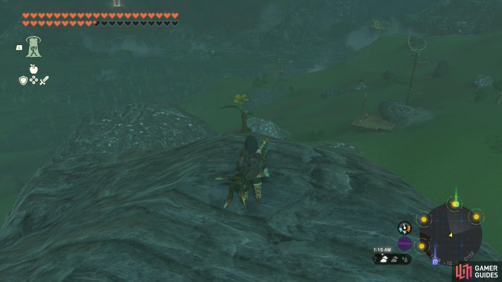 Korok Seed