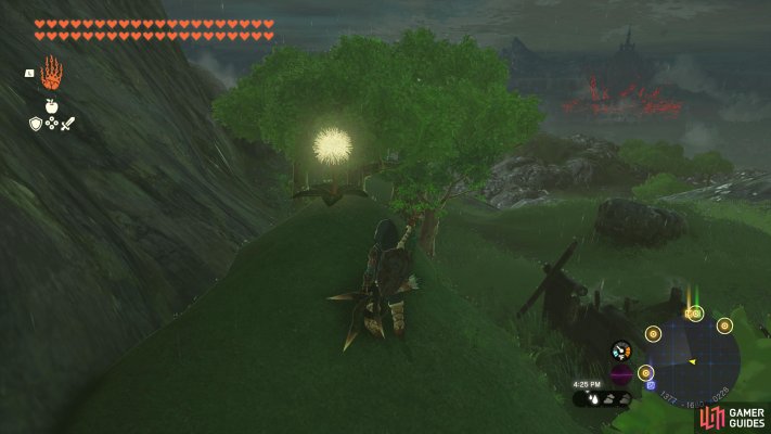 Korok Seed