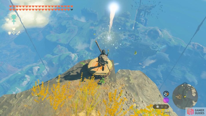 Korok Seed
