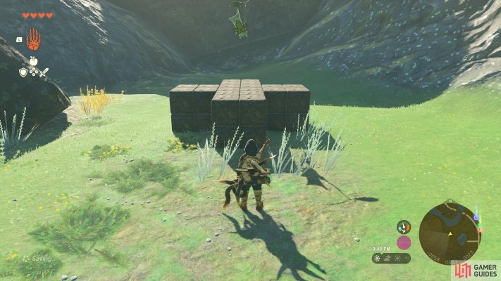 Korok Seed