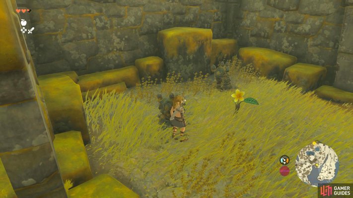 Korok Seed
