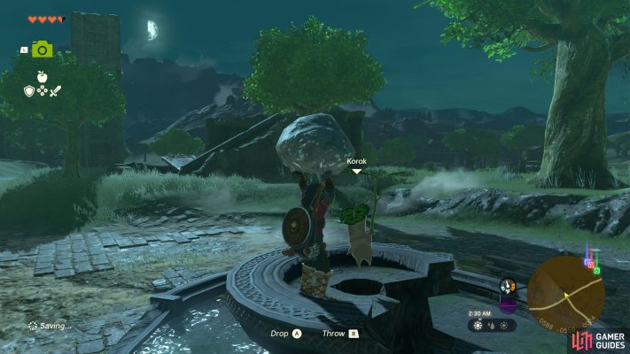 Korok Seed