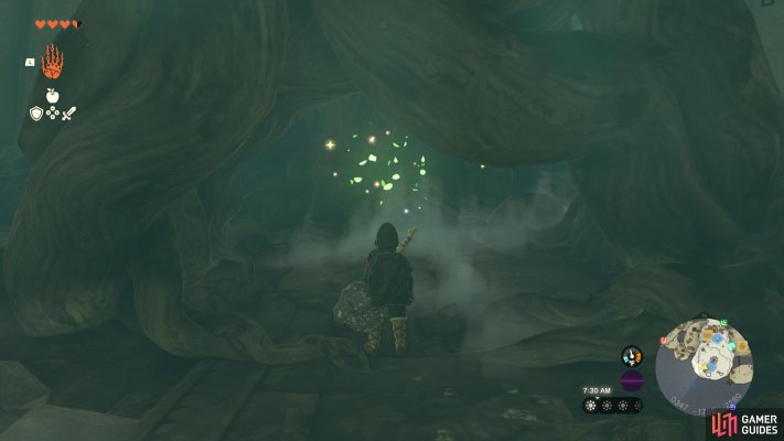 Korok Seed