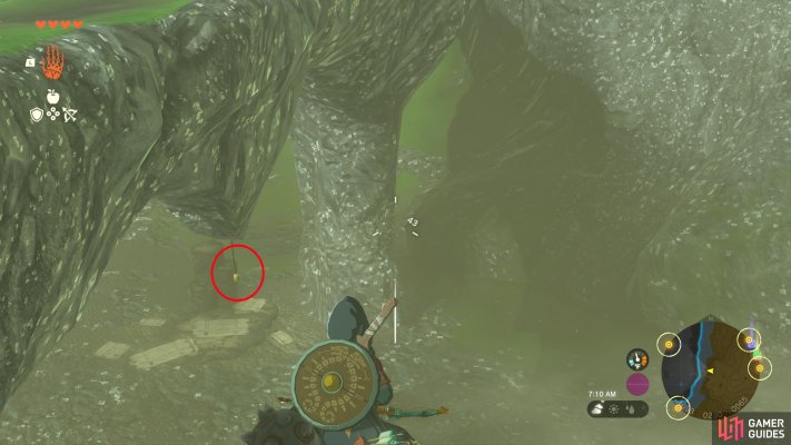 Korok Seed