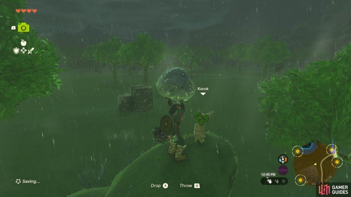 Korok Seed