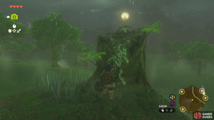 Korok Seed