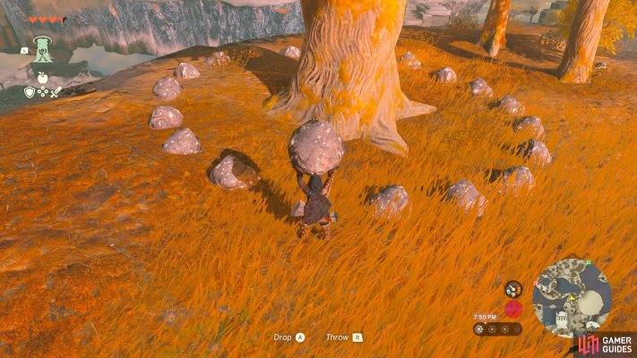 Korok Seed