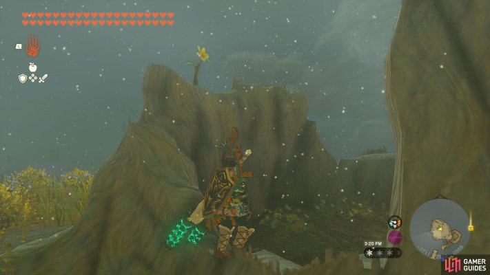 Korok Seed