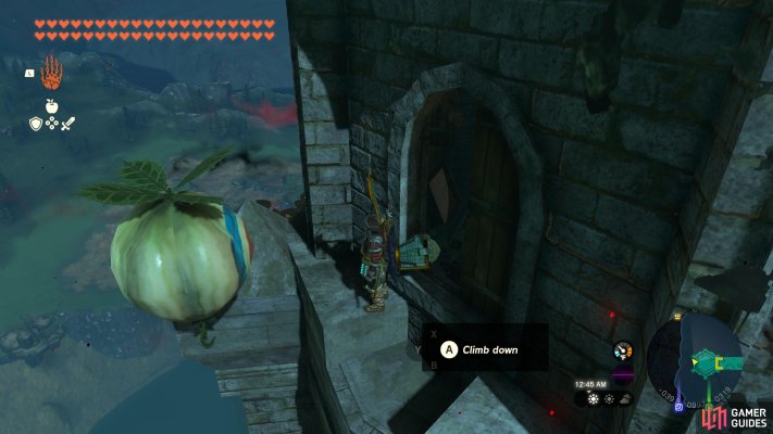 Korok Seed