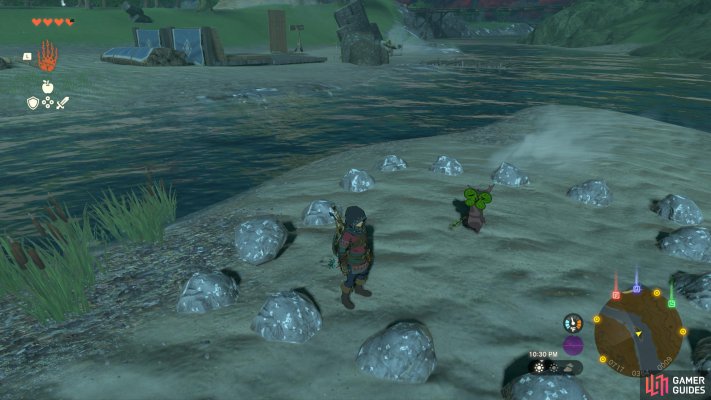 Korok Seed