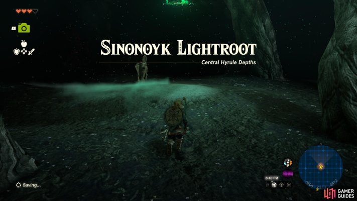 Sinonoyk Lightroot