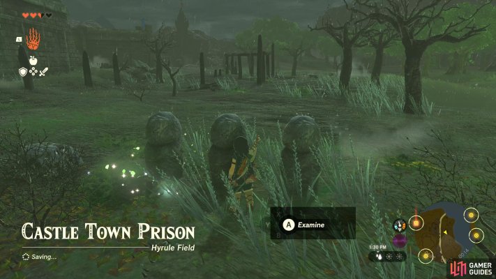 Korok Seed