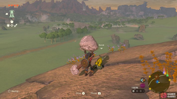Korok Seed