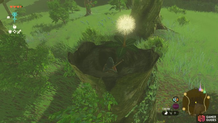 Korok Seed