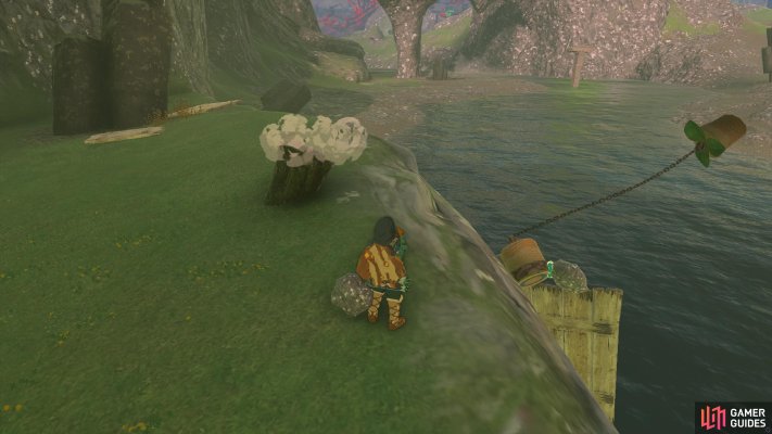 Korok Seed