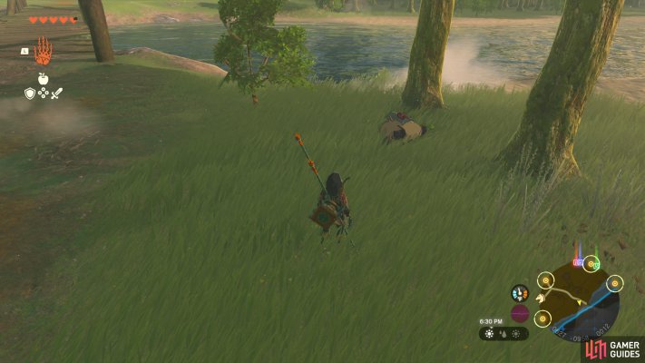 Korok (NPC)