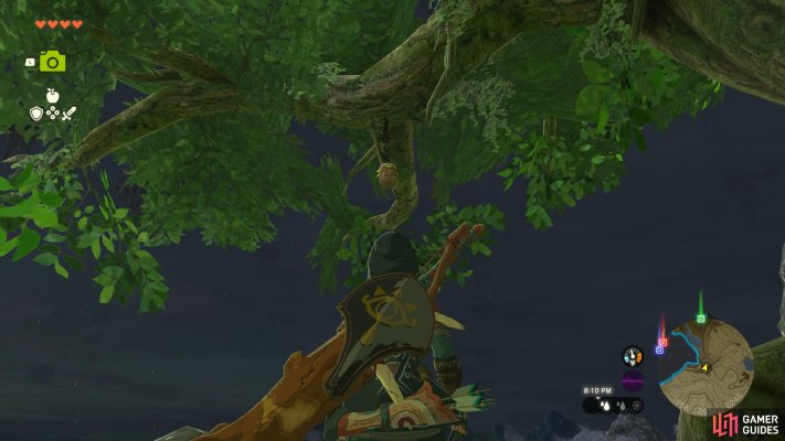 Korok Seed