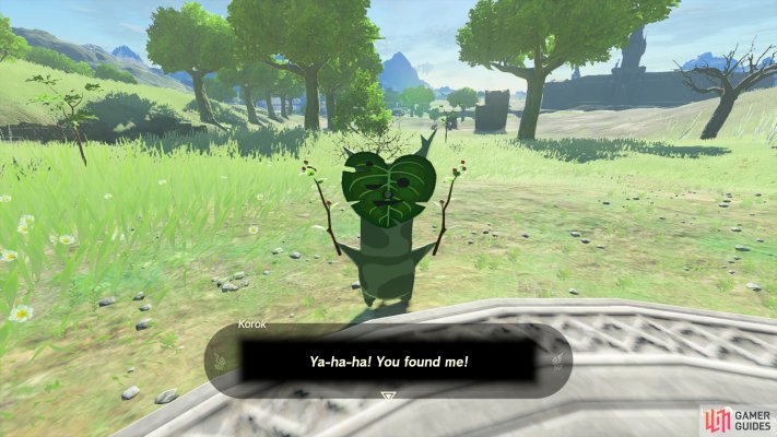 Korok Seed