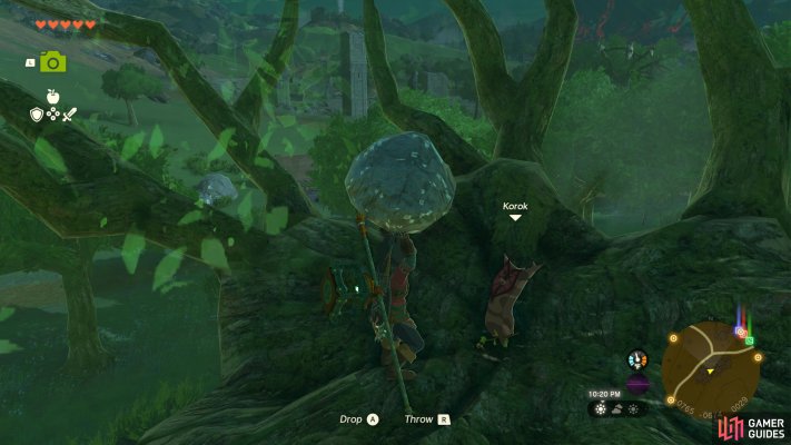 Korok Seed