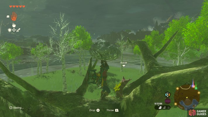 Korok Seed