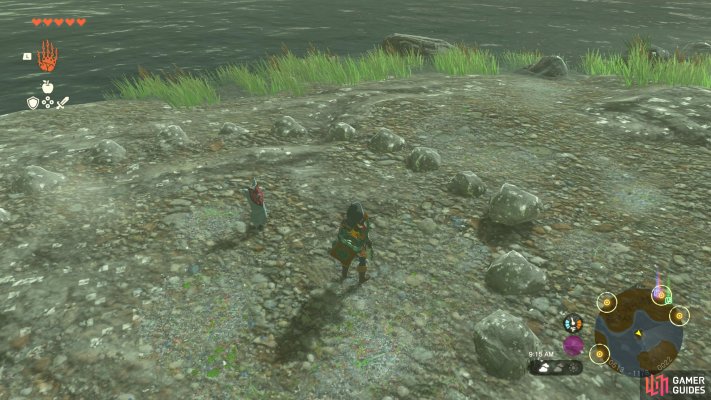 Korok Seed