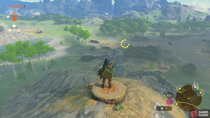 Korok Seed