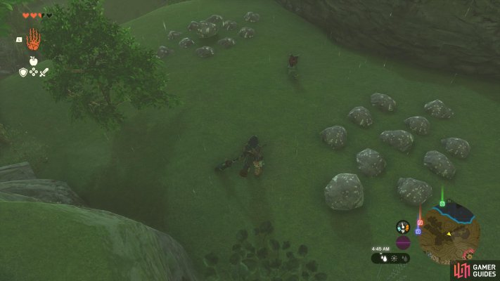 Korok Seed