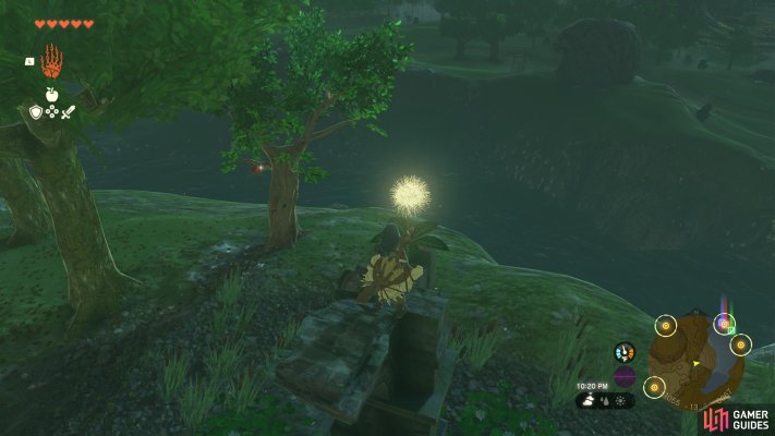 Korok Seed